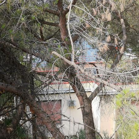 Apartman Lucica Zadar Extérieur photo